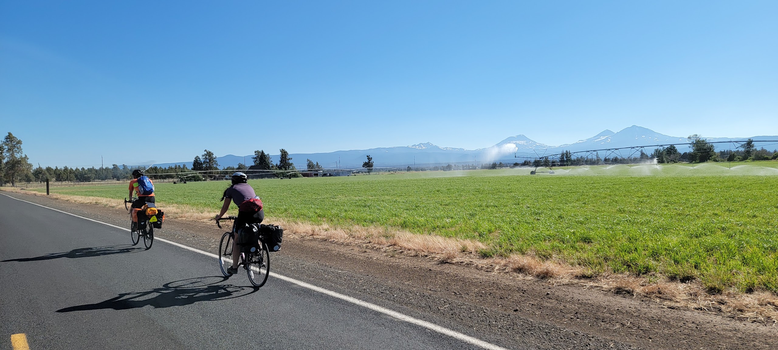 A picture taken from behind of 4 ciclists biking on a back road, about to head downhill, blue skies and green trees loom overhead